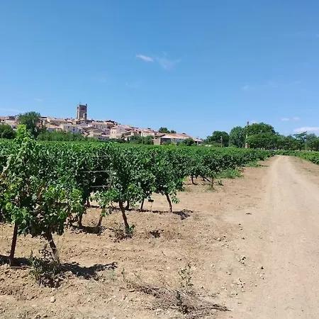 Apartamento Le Petit D'aquí D'hôtes - 15 Minutes De La
